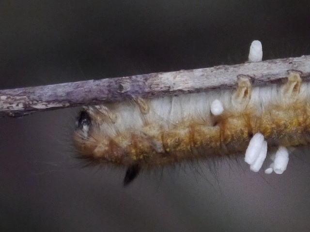 d0088184_22030093.jpg