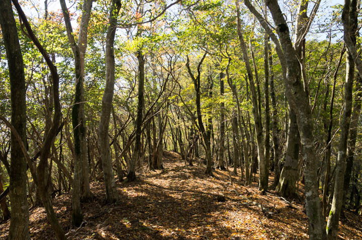 英彦山、犬ヶ岳  2016/10/24_b0229688_22593225.jpg