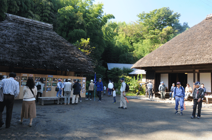 ＜文化の日　芸術祭＞_e0248688_1738944.gif