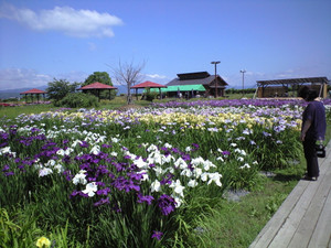 e0359590_10054394.jpg