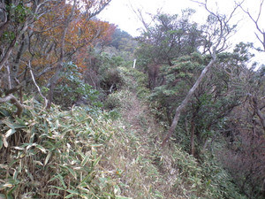 e0359590_10061509.jpg
