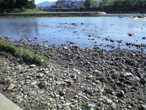 e0359590_10061618.jpg