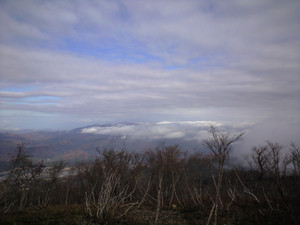 e0359590_10062103.jpg
