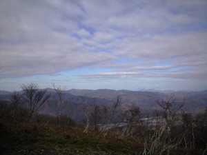 e0359590_10062176.jpg