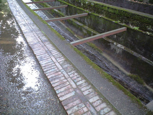 e0359590_10063655.jpg