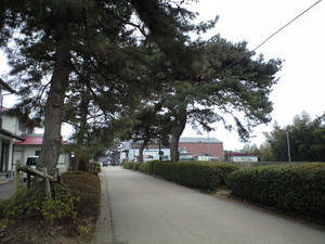 e0359590_10065493.jpg