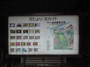 e0359590_10071117.jpg