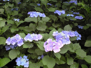 e0359590_10071300.jpg