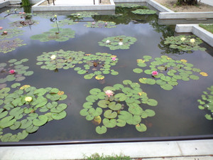 e0359590_10071341.jpg
