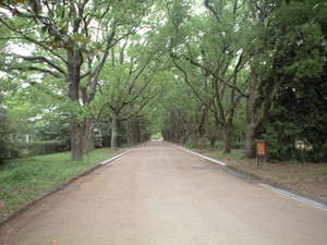 e0359590_10071430.jpg