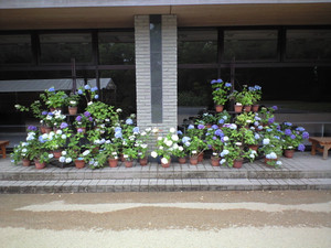 e0359590_10071489.jpg