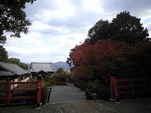e0359590_10075568.jpg