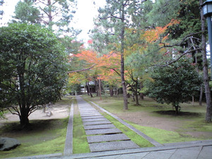 e0359590_10075649.jpg