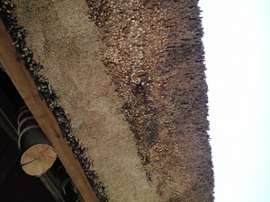 e0359590_10083205.jpg