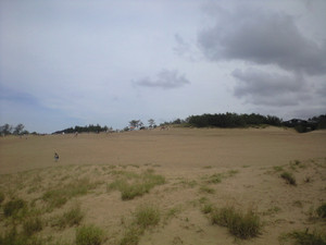 e0359590_10095761.jpg