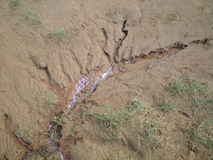 e0359590_10095815.jpg