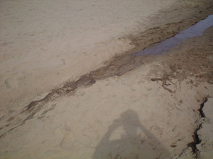 e0359590_10095892.jpg