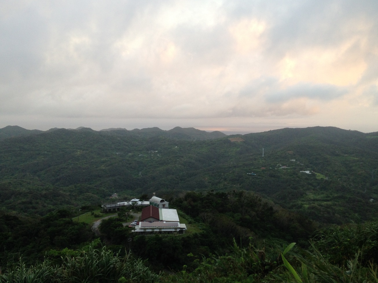 八重岳の自然観察会_a0247891_1120455.jpg