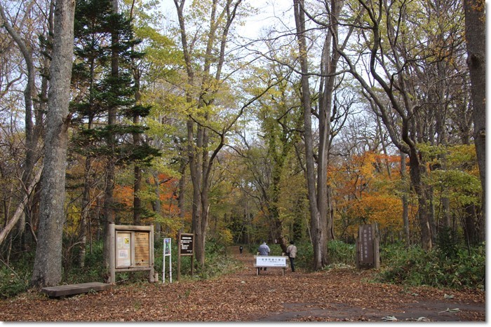 f0146493_21122042.jpg