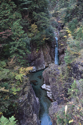 e0204795_1944731.jpg