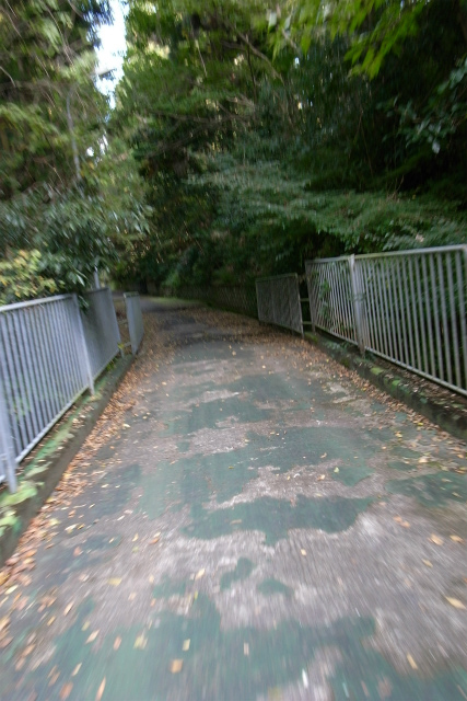 f0073398_21240527.jpg