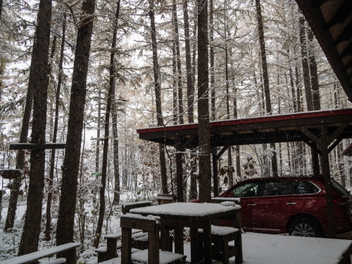 紅葉真っ只中の”カラマツ”にも積雪・・今年は早い?_f0276498_22332941.jpg