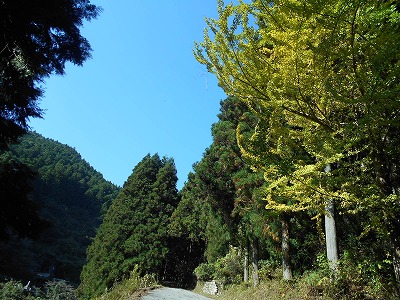 f0308898_15113747.jpg