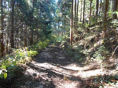 f0308898_15121643.jpg