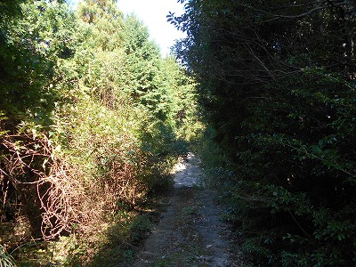 f0308898_1512181.jpg