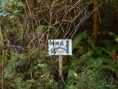 f0308898_1512930.jpg