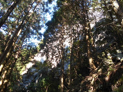 f0308898_1514215.jpg