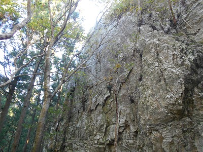 f0308898_1515418.jpg