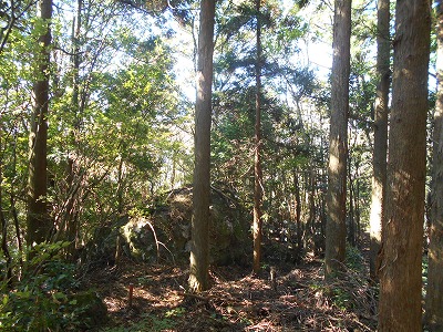 f0308898_1516644.jpg