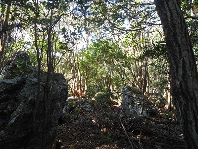 f0308898_15171892.jpg