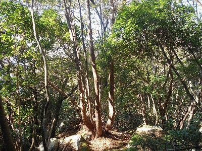 f0308898_15172681.jpg