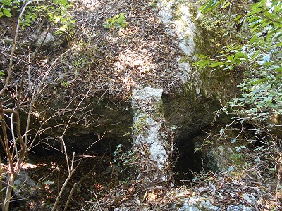 f0308898_1518264.jpg