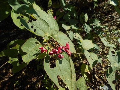 f0308898_15184844.jpg
