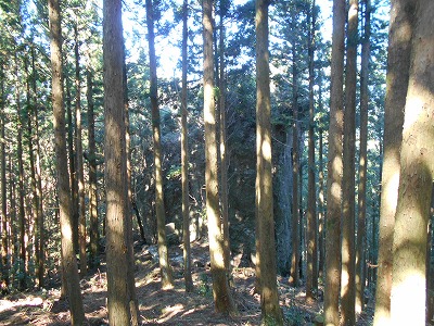 f0308898_1520488.jpg