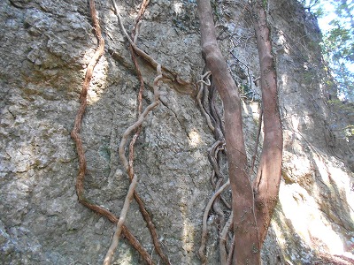 f0308898_15205765.jpg