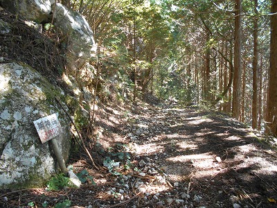 f0308898_15212293.jpg