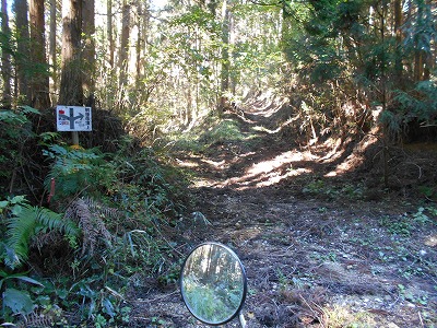 f0308898_15214649.jpg