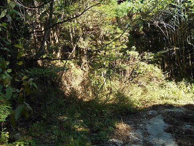 f0308898_1522012.jpg