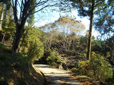 f0308898_15221581.jpg