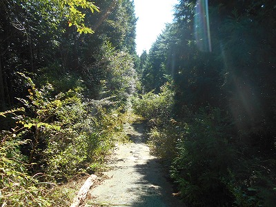 f0308898_152283.jpg