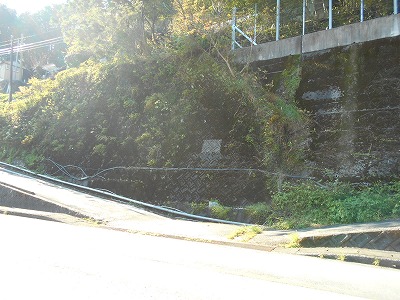 f0308898_159566.jpg
