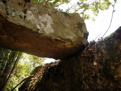 f0308898_1950354.jpg