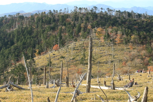 a0327600_23531880.jpg