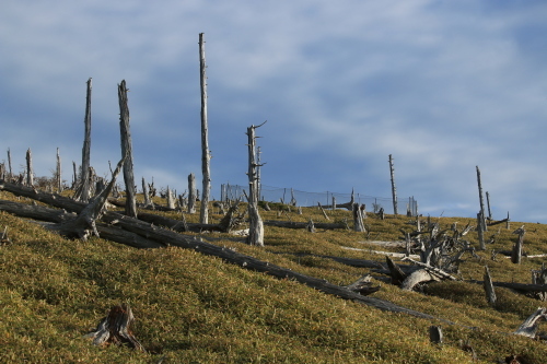 a0327600_23535257.jpg