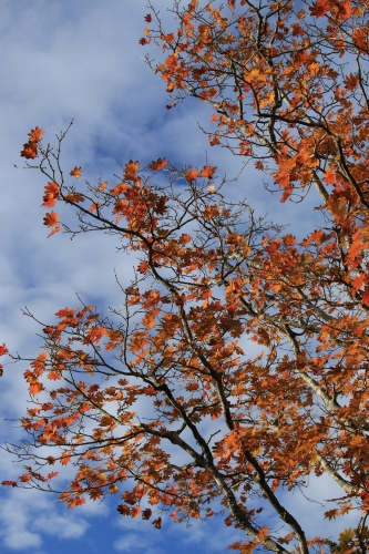 a0327600_23553541.jpg