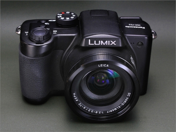 ※ 古いデジカメ Panasonic DMC-FZ5 で撮影_d0353401_22562083.jpg